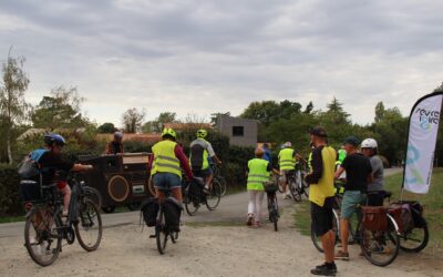 Les Vélos dans le vignoble